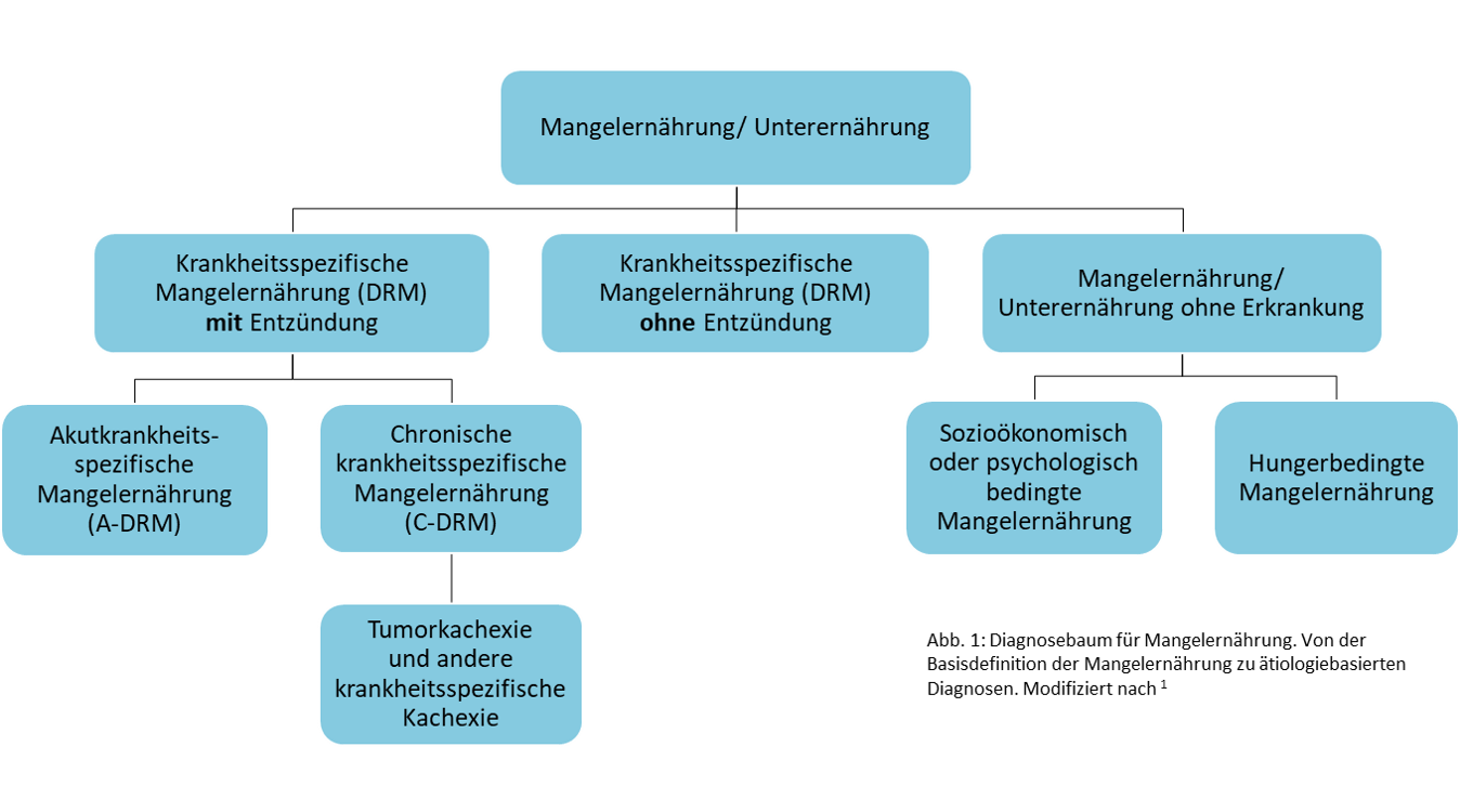 Schaubild Mangelernährung